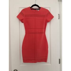 Elizabeth and James dress